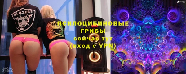 дмт Елабуга