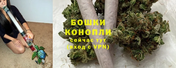 дурь Дмитриев