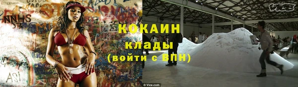 дурь Дмитриев