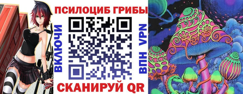 OMG зеркало  Красавино  Галлюциногенные грибы прущие грибы 
