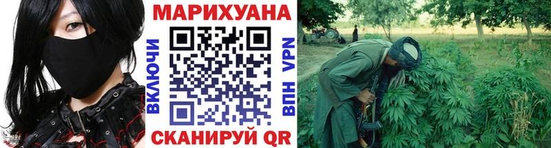 сколько стоит  Красавино  Конопля гибрид 